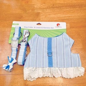 Dog  collar and leash and harness vest